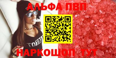 гидра Нальчик