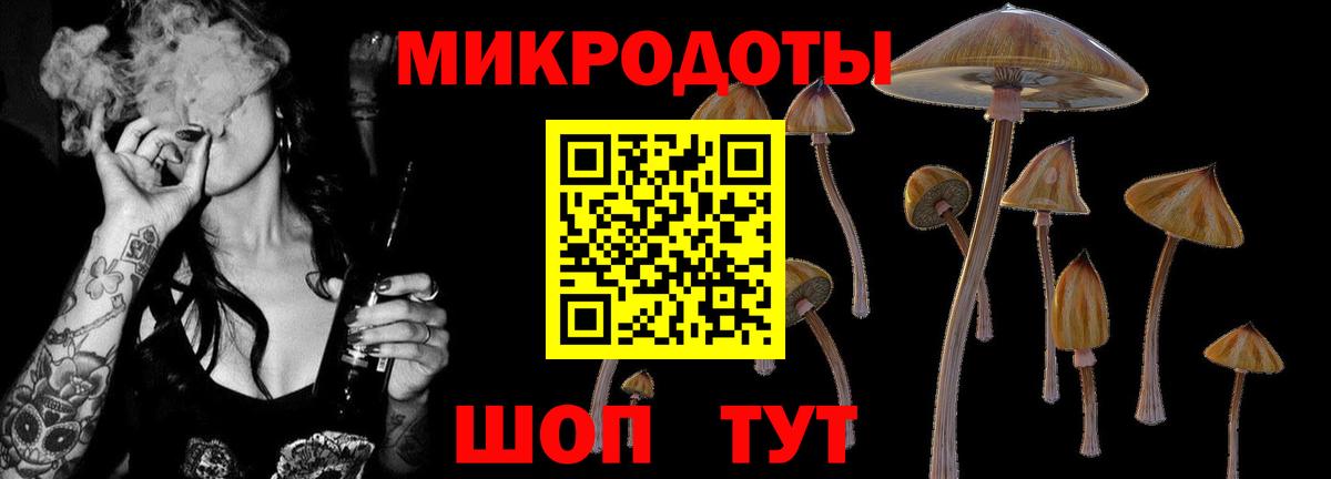 Галлюциногенные грибы GOLDEN TEACHER Феодосия